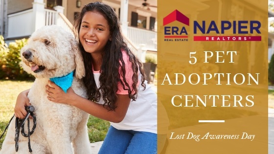 Henrico County Pet Adoption Centers